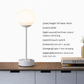 LED Lamp with Globe