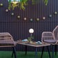 LED Lamp with Globe